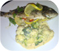 Gilthead Bream