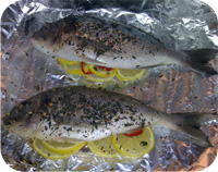 Oven Baked Gilthead Bream