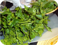 Parsley and Basil Pesto Recipe