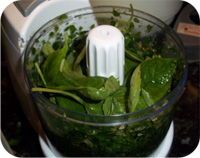 Parsley and Basil Pesto Recipe