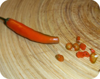 Roasted Piccolo Cherry Tomatoes