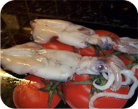 Fresh Squid