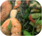 Squid Ink Pasta with Prawns