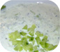 Tzatziki